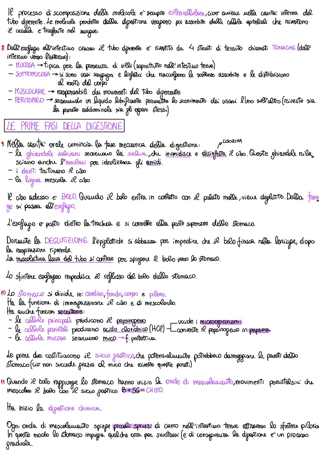 # APPARATO DIGERENTE

ORGANIZZAZIONE DELL'APPARATO DIGERENTE

1 L'apparato digerente fornisce all'organismo tutti i nutrienti di cui ha biso