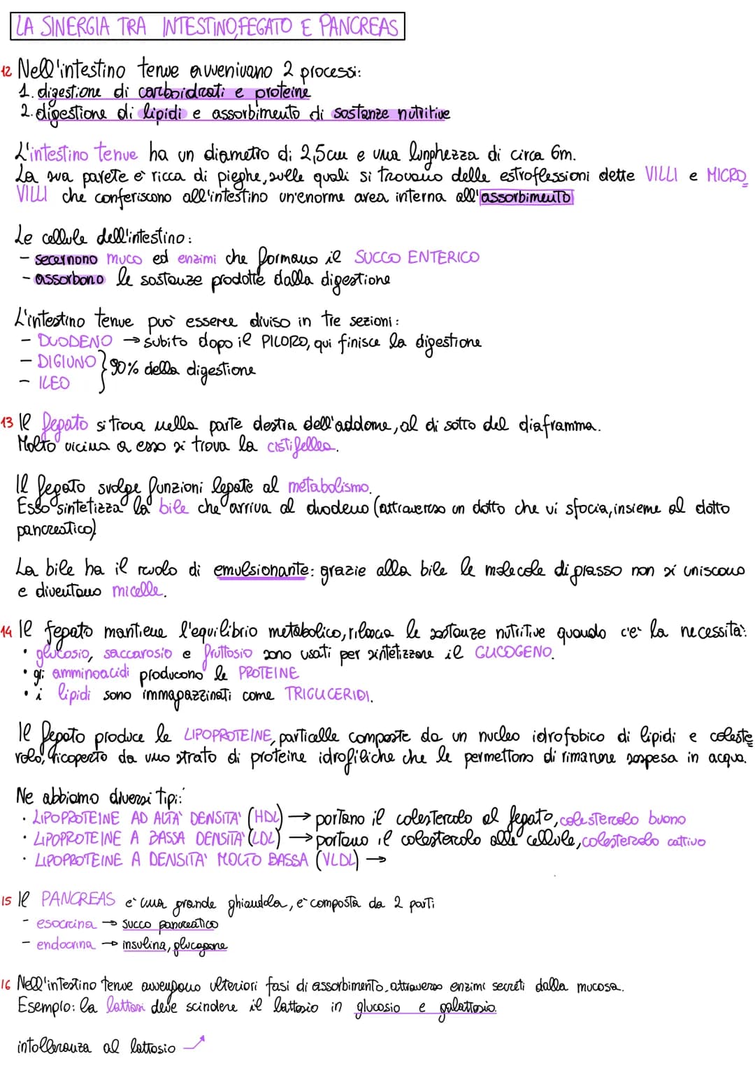 # APPARATO DIGERENTE

ORGANIZZAZIONE DELL'APPARATO DIGERENTE

1 L'apparato digerente fornisce all'organismo tutti i nutrienti di cui ha biso