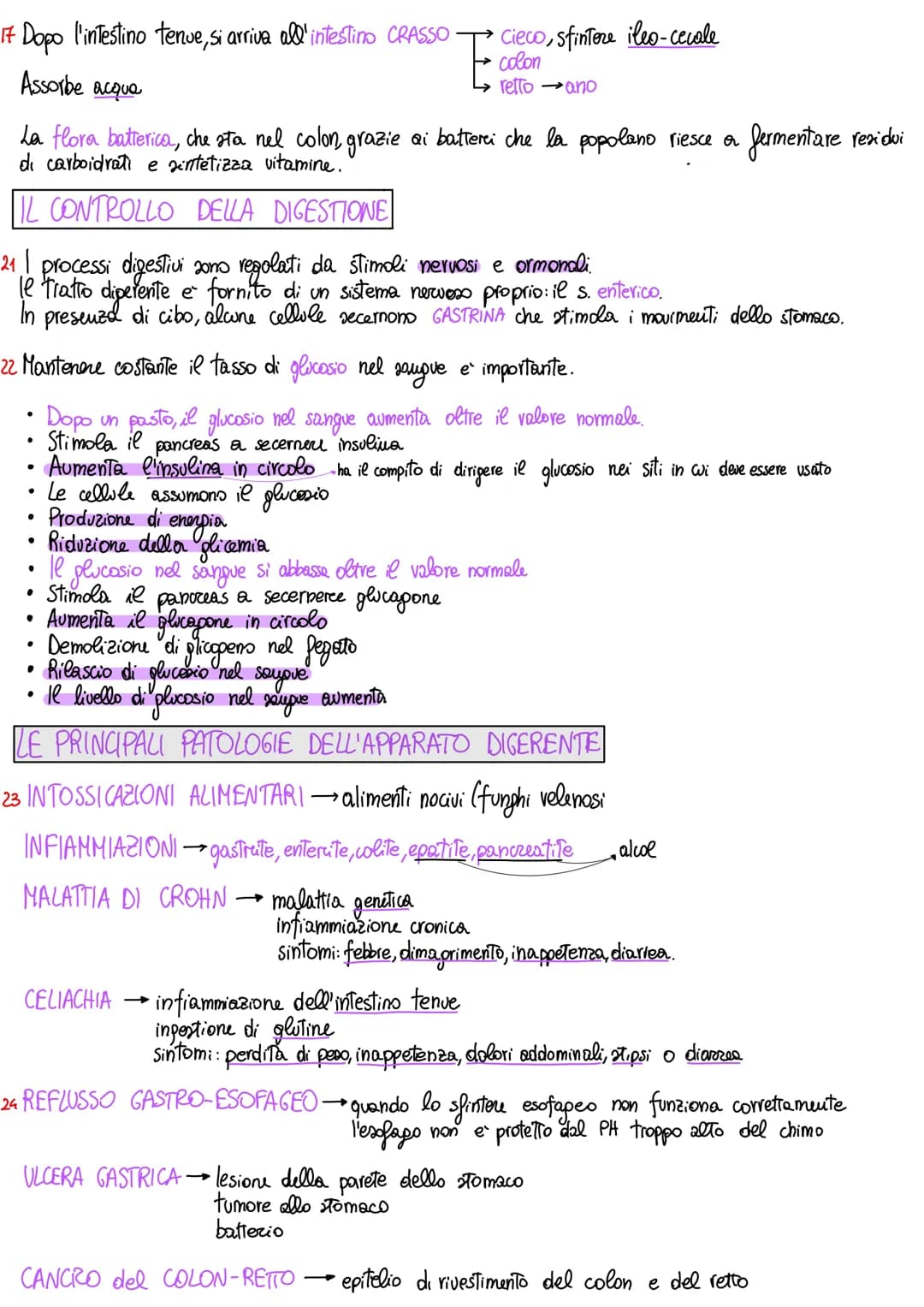 # APPARATO DIGERENTE

ORGANIZZAZIONE DELL'APPARATO DIGERENTE

1 L'apparato digerente fornisce all'organismo tutti i nutrienti di cui ha biso