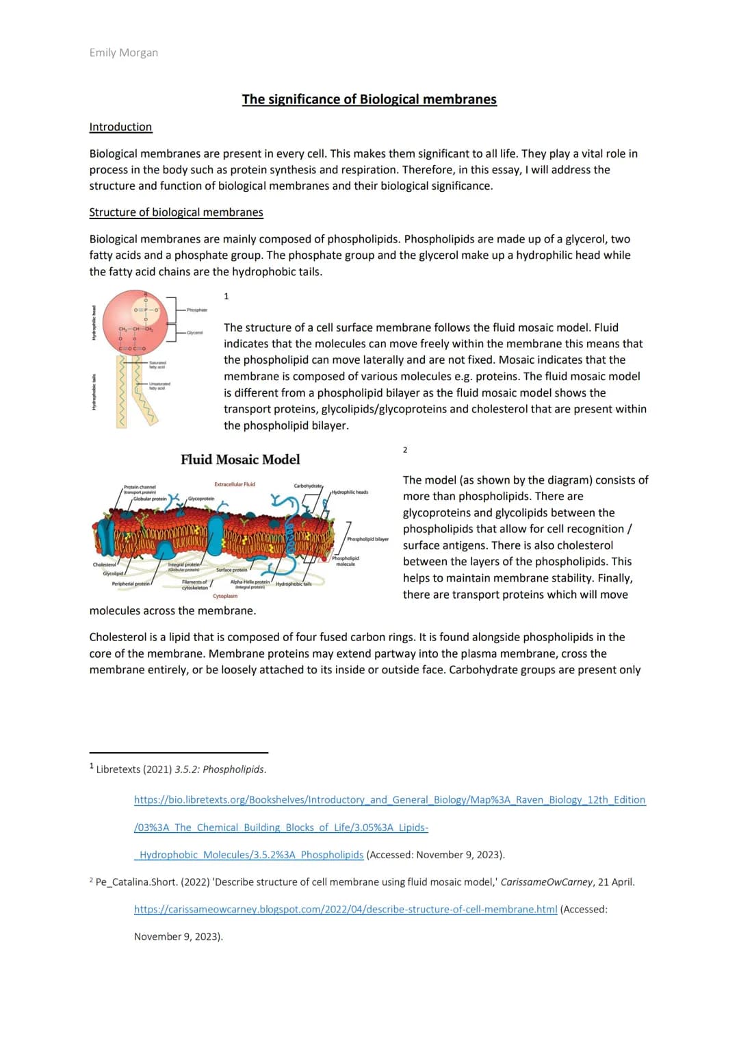 Emily Morgan

The significance of Biological membranes

Introduction

Biological membranes are present in every cell. This makes them signif
