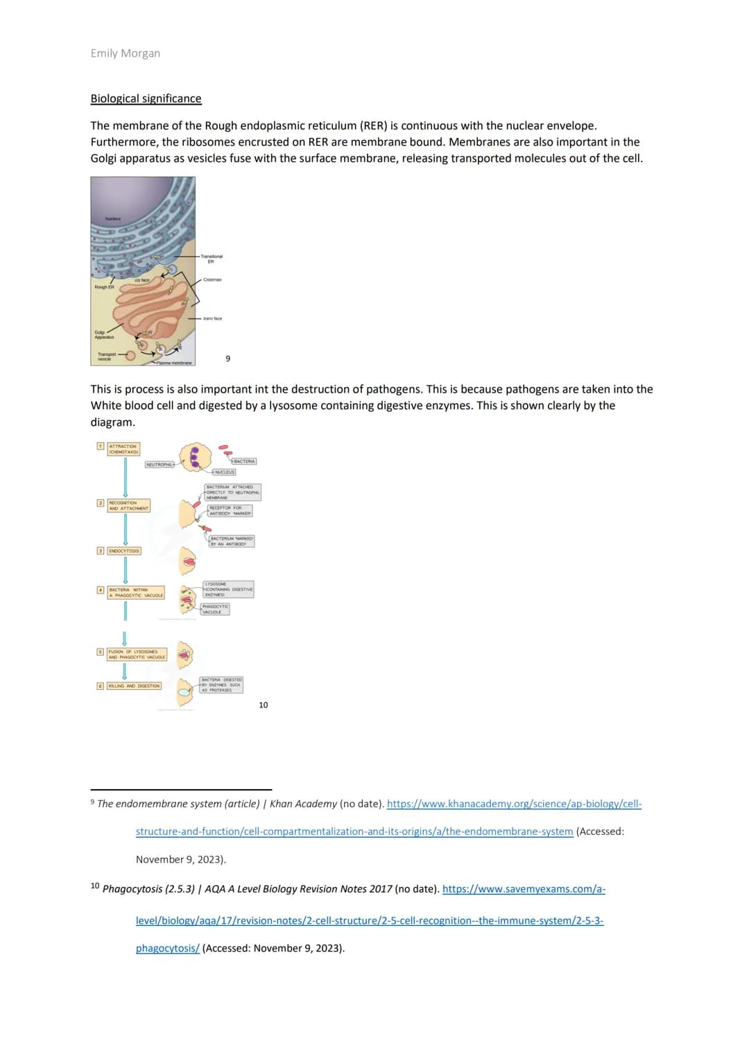 Emily Morgan

The significance of Biological membranes

Introduction

Biological membranes are present in every cell. This makes them signif