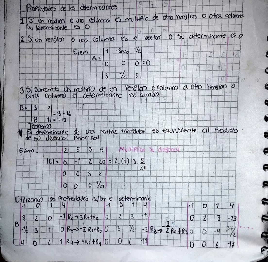 # Propiedades de los determinantes

1 Si un renglon o una columna es multiplo de otro renglon o otra columna
Su determinante es O

2 Si un r