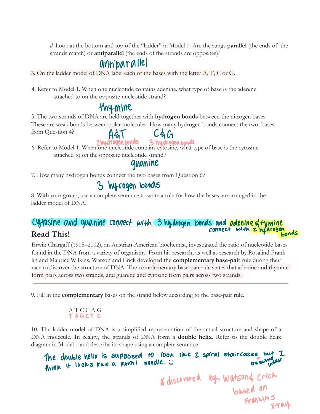 # DNA Structure and Replication
How is genetic information stored and copied?

Why?
DNA-polymer nucleotide-monomer

Deoxyribonucleic acid or