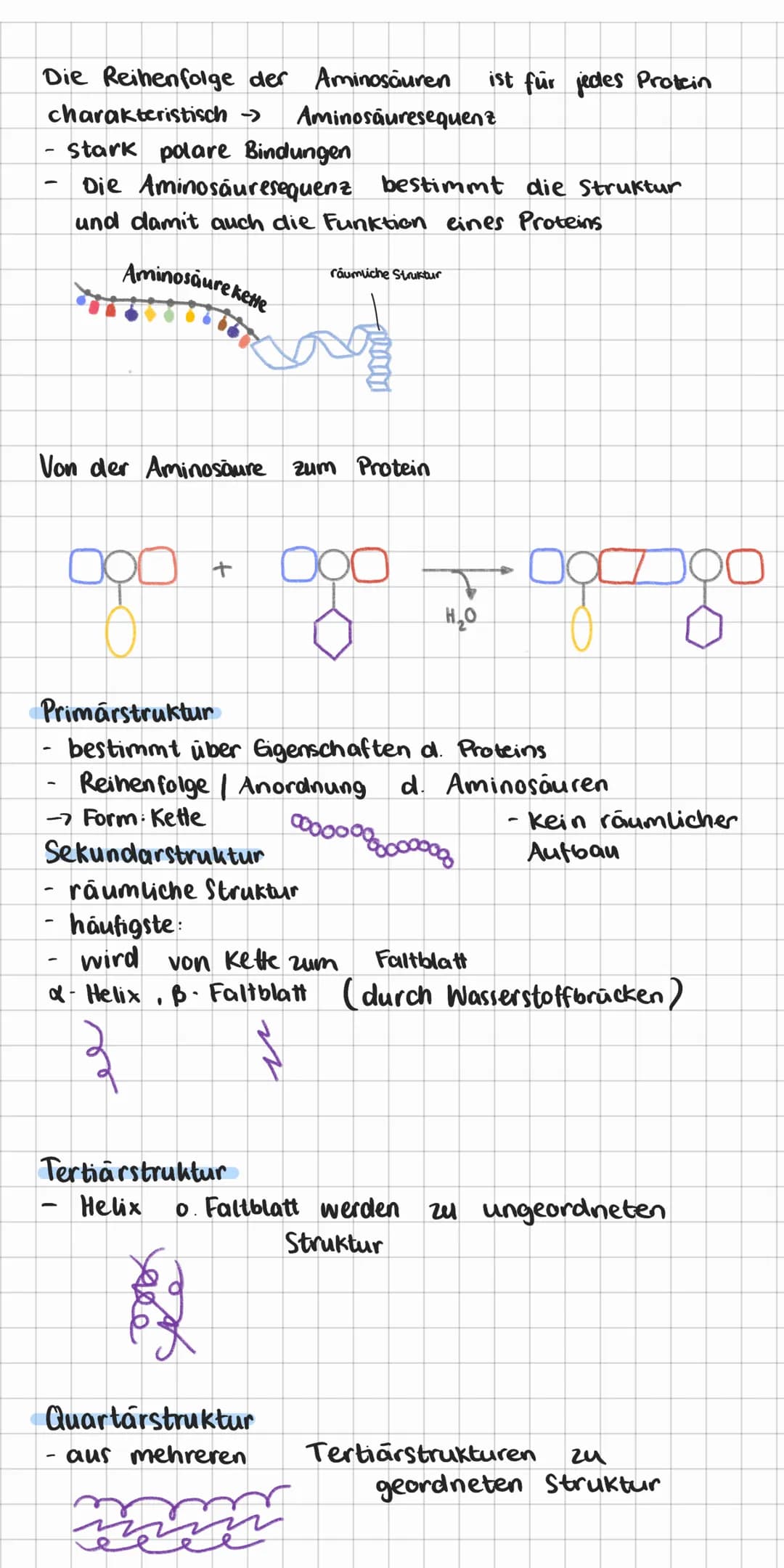 # Makronährstoffgruppen

## Kohlenhydrate:

Kohlenhydrate bestehen aus meist ringförmigen Molekülen,
mit funktionellen Gruppen.
Allgemeine F
