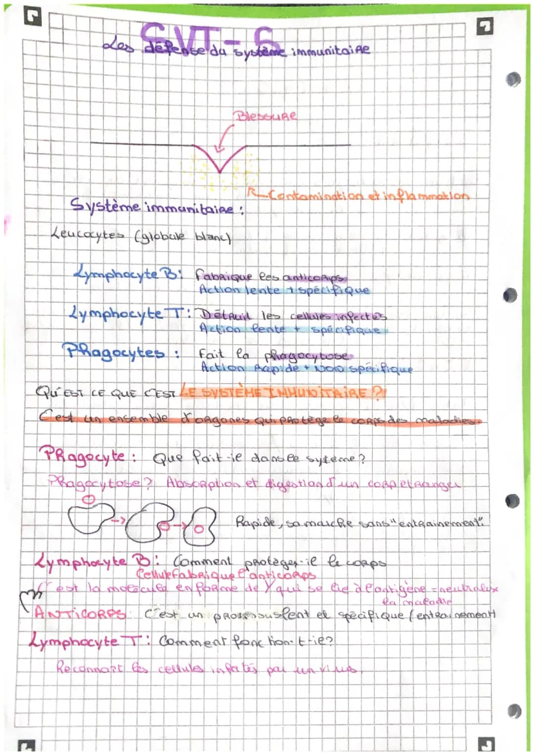 Les défense du système immunitaine

Blessure

Système immunitaine :
Leucocytes (globale blanc)

RContamination et inflammation

Lymphocyte B
