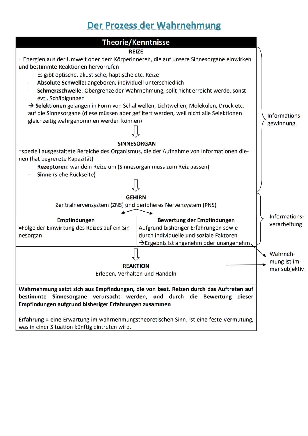# Die Kognitionen

Einleitung
Bei der Aufnahme der momentanen Umwelt, ihrer Verarbeitung und ihrem Einwirken auf
sie spielen viele Dinge ein