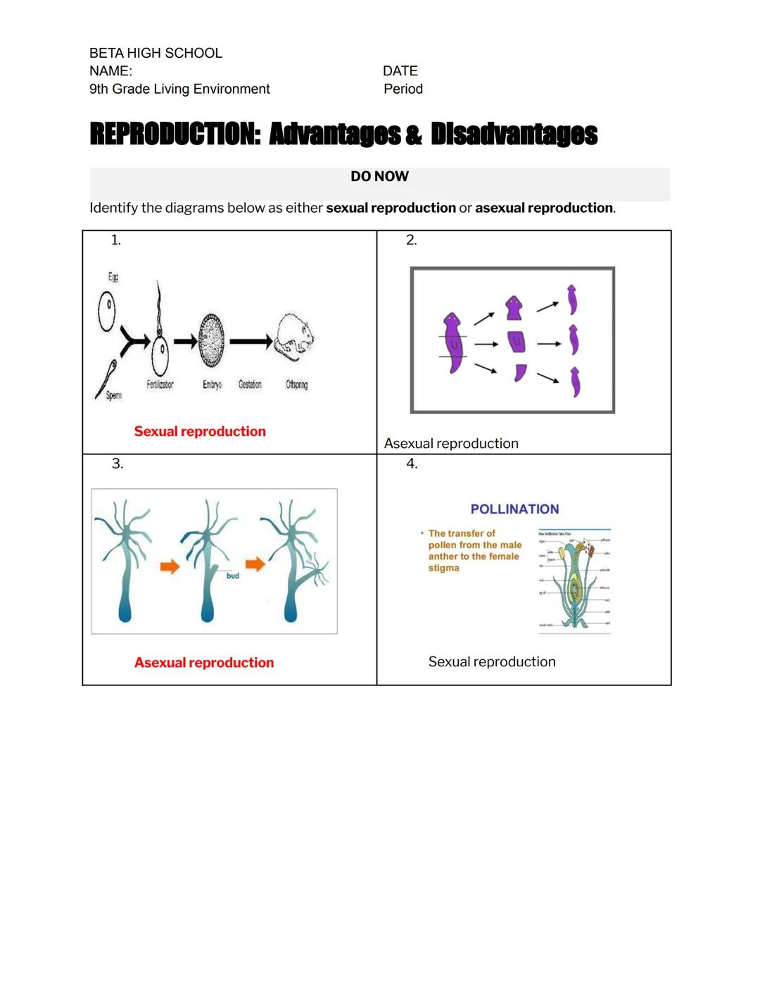 BETA HIGH SCHOOL
NAME:
9th Grade Living Environment
DATE
Period
# REPRODUCTION: Advantages & Disadvantages

DO NOW
Identify the diagrams bel