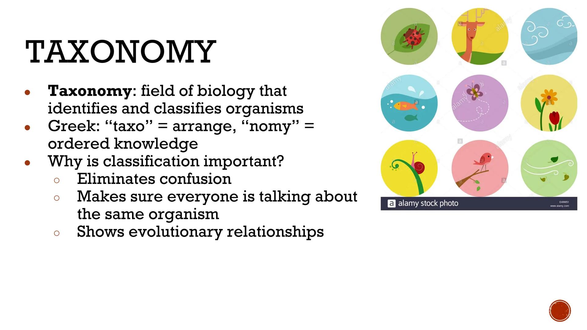 # CLASSIFICATION
OF
LIVING THINGS

Biology X # TAXONOMY

*   Taxonomy: field of biology that
    identifies and classifies organisms
*   Gre