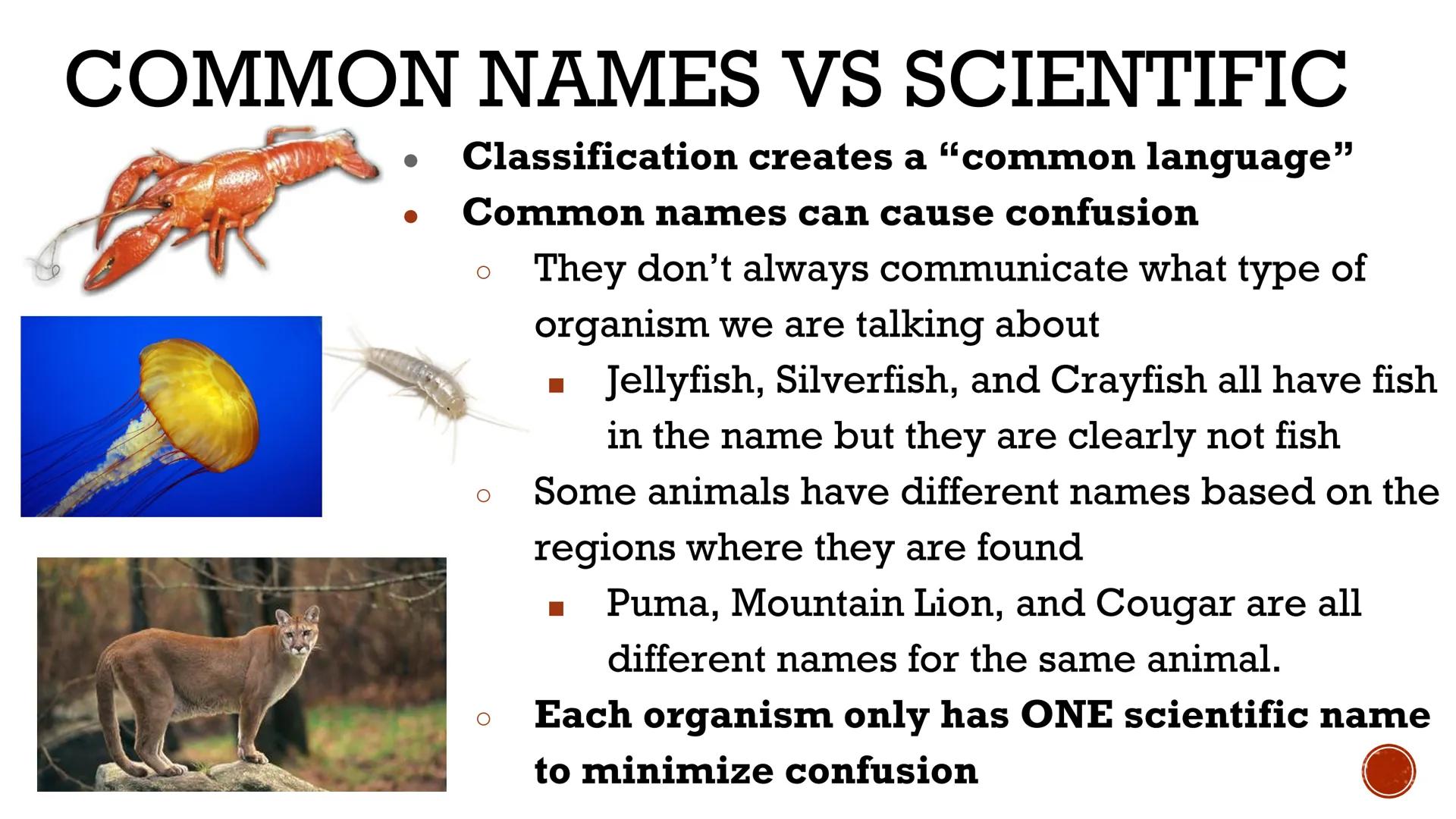 # CLASSIFICATION
OF
LIVING THINGS

Biology X # TAXONOMY

*   Taxonomy: field of biology that
    identifies and classifies organisms
*   Gre