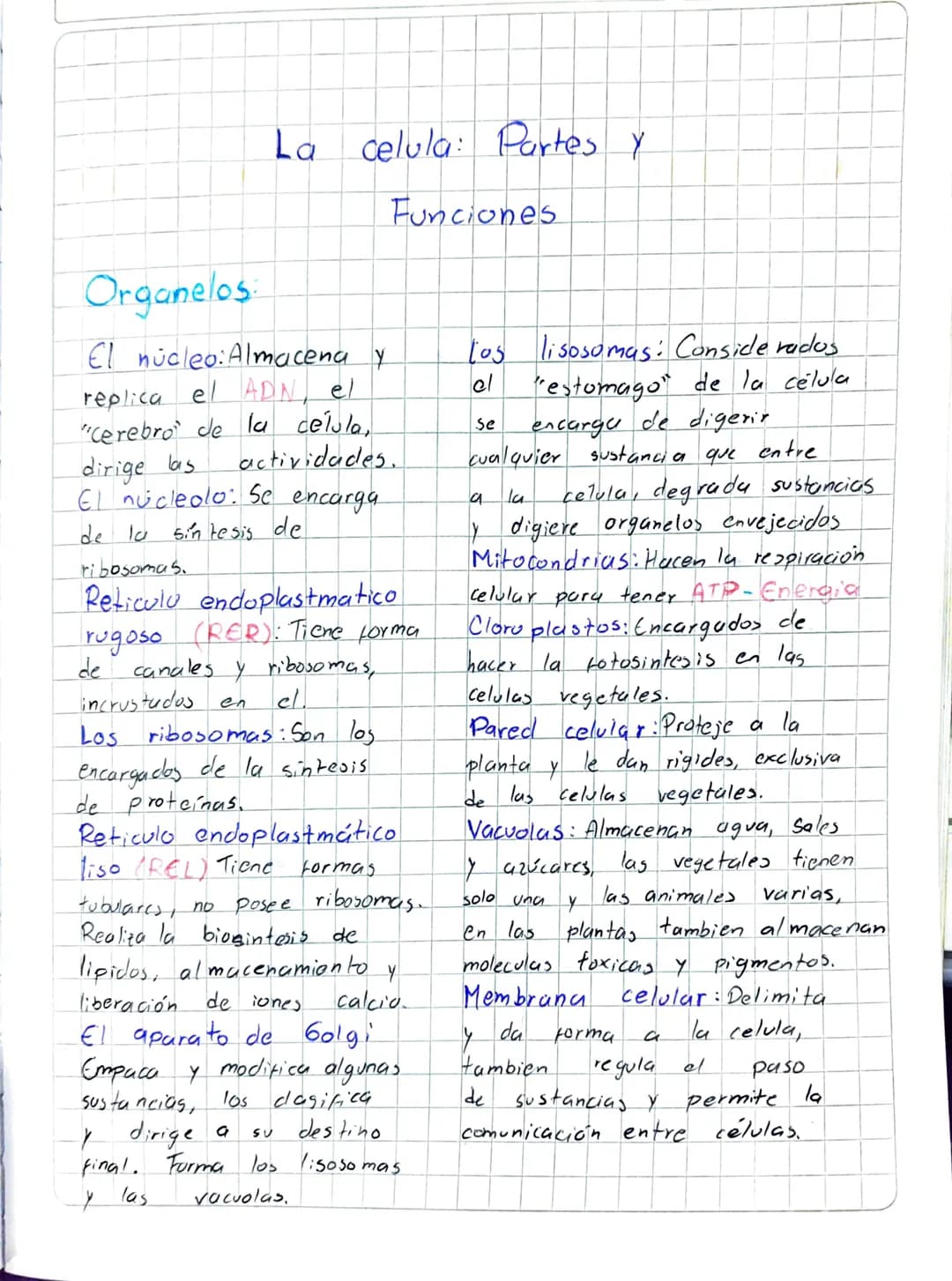 Organelos

La celula: Partes y
Funciones

El núcleo: Almacena y
replica el ADN, el
"Cerebro de la célula,
dirige las actividades.
El núcleol