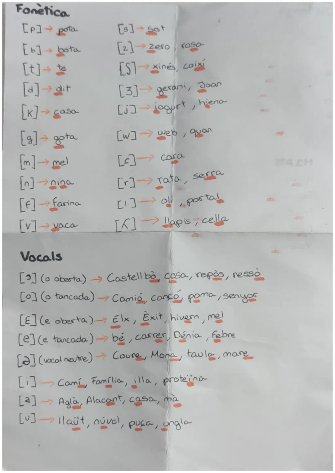 Fonètica

[P] pota

[b] bota

[t] te

[d]→dit

[K]→ casa

[g] gota

[m] mel

[n]nina

[F]→farina

[v]-vaca

Vocals

[s] Sot

[2]zero, rosa-

