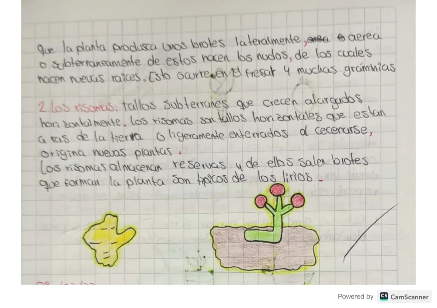 06/03/23.

Reproducción asexual de las
plantas

Las plantas se marchitan 4 mueren. Sin embargo, las especes
vegetales siguen existiendo en l