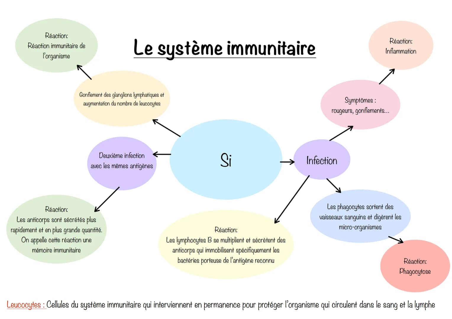 Réaction:
Réaction immunitaire de
l'organisme

# Le système immunitaire

Gonflement des glanglions lymphatiques et
augmentation du nombre de