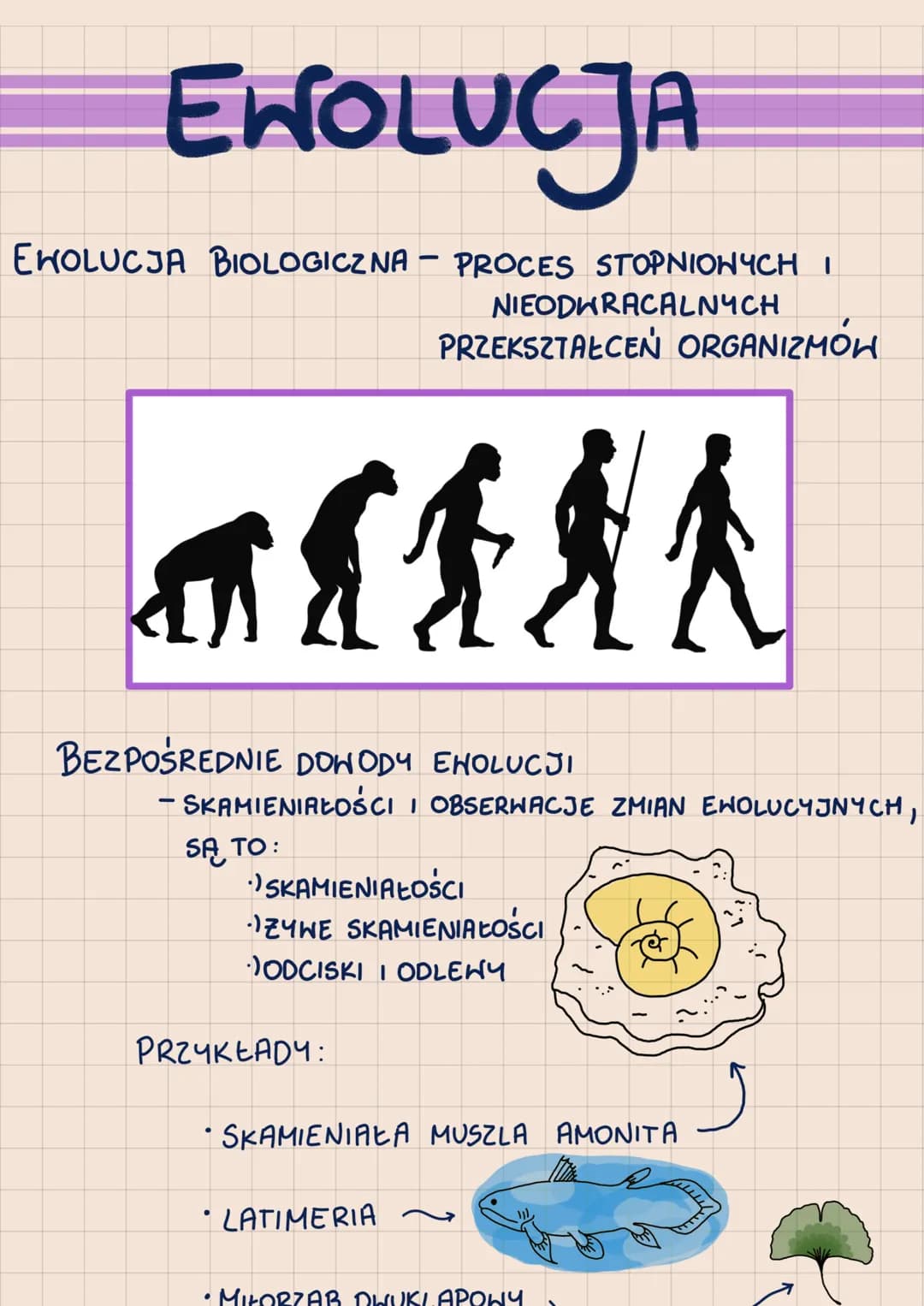 # EWOLUCJA

EKOLUCJA BIOLOGICZNA - PROCES STOPNIONYCH I
NIEODWRACALNYCH
PRZEKSZTAŁCEŃ ORGANIZMÓH

BEZPOŚREDNIE DOWODY EHOLUCJI
- SKAMIENIAŁO
