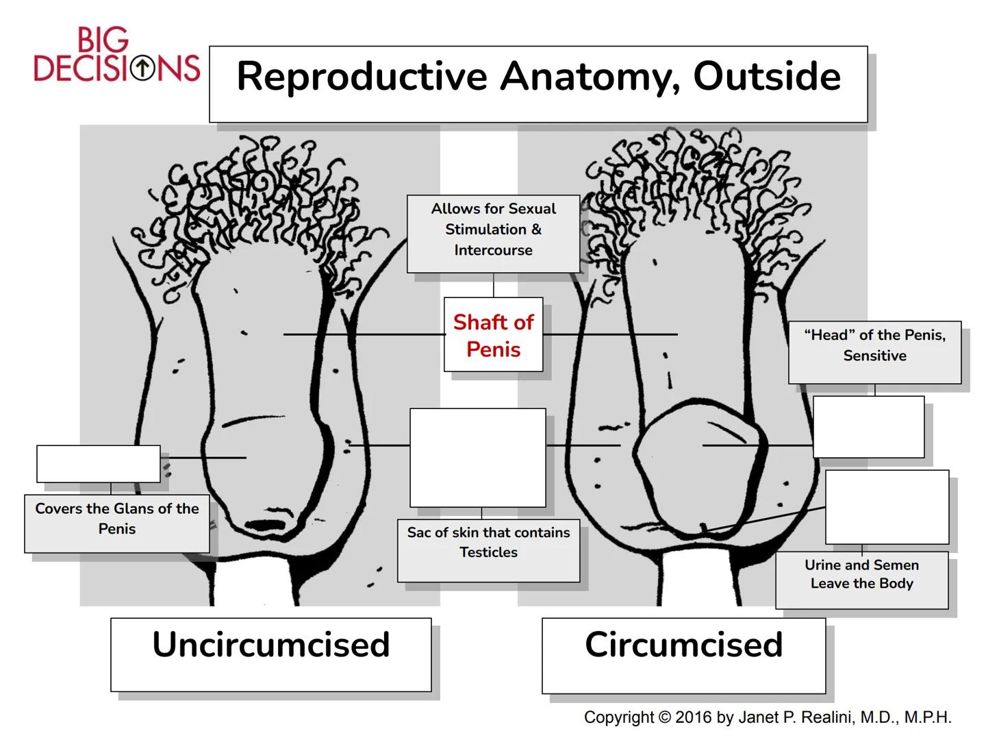Making Healthy,
Informed Choices
about Sex

BIG
DECISIONS

Slide Presentation for Classroom Use

Copyright © 2016 Janet P. Realini, MD, MPH 