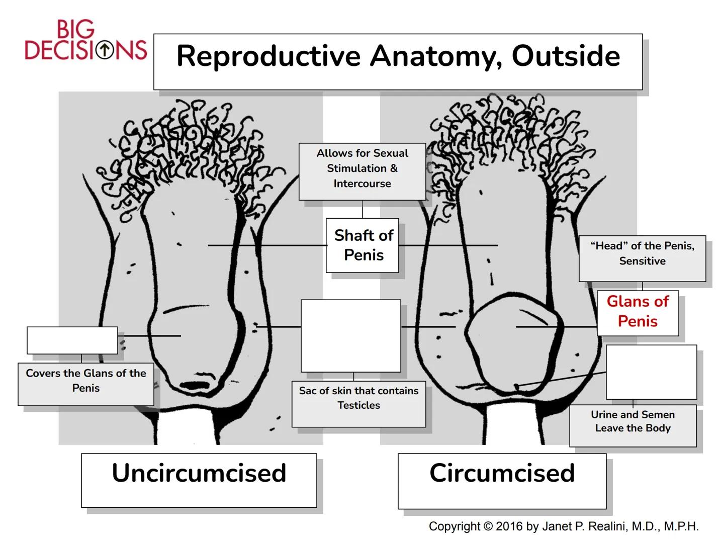 Making Healthy,
Informed Choices
about Sex

BIG
DECISIONS

Slide Presentation for Classroom Use

Copyright © 2016 Janet P. Realini, MD, MPH 