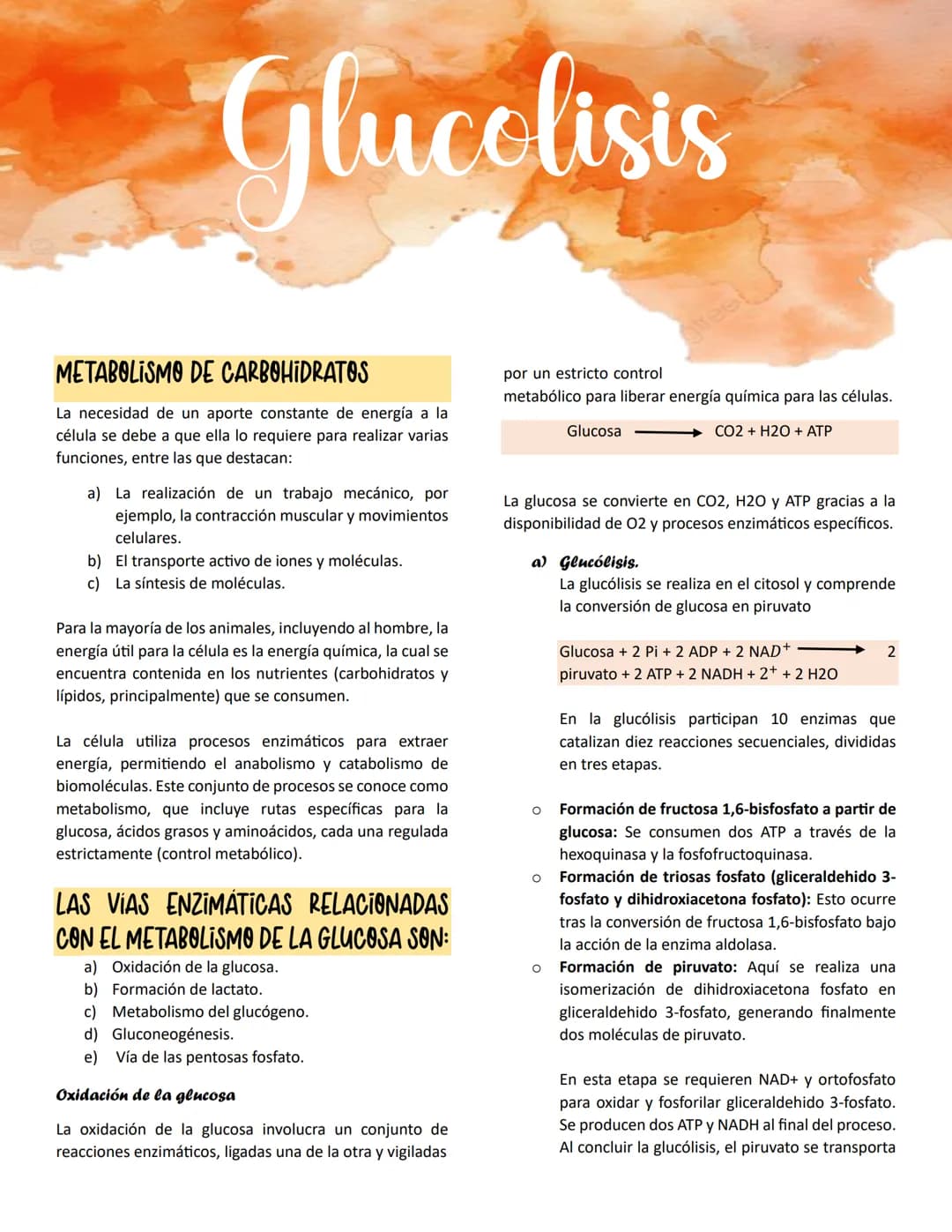 --- OCR Start ---
Glucolisis
METABOLISMO DE CARBOHIDRATOS
La necesidad de un aporte constante de energía a la
célula se debe a que ella lo r