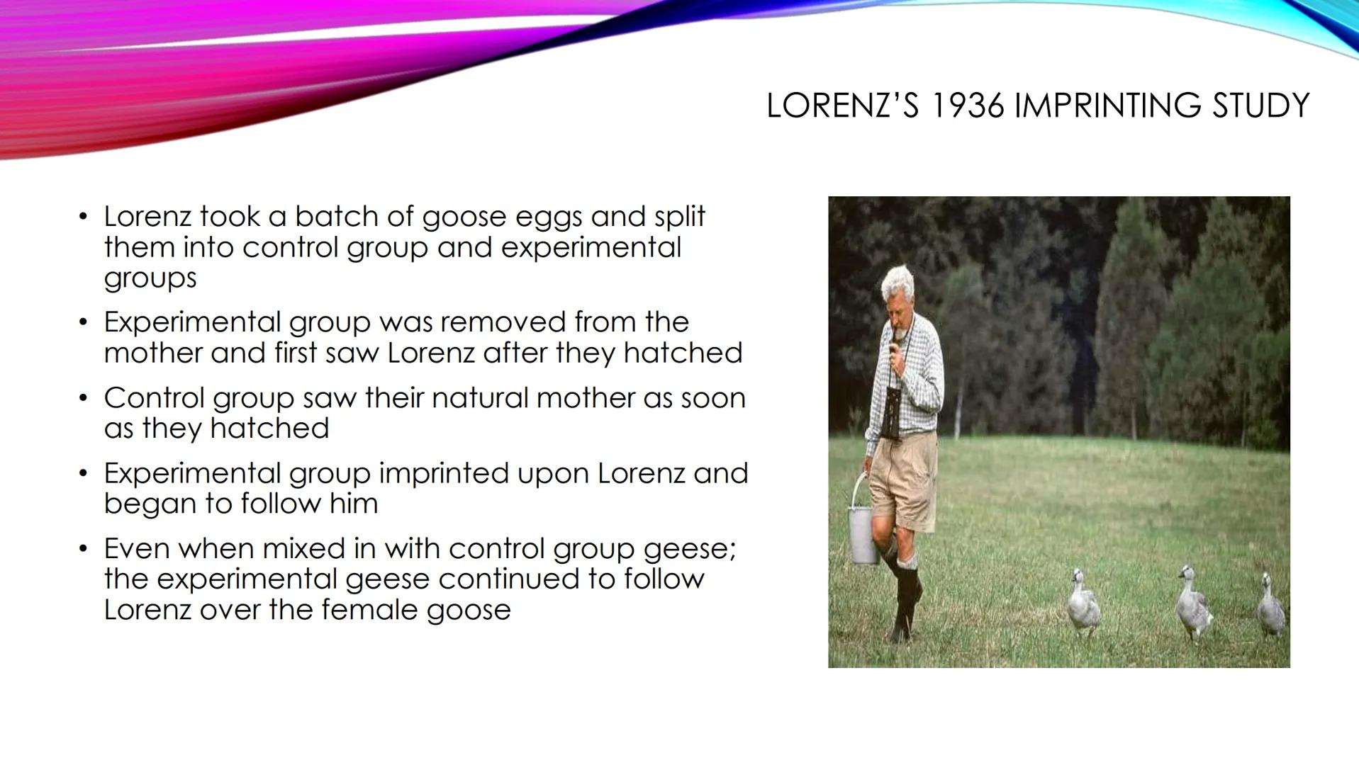 SOCIAL DEVELOPMENT OF CHILDREN

• The social development of children
normally begins with attachment
• the emotional and social relationship