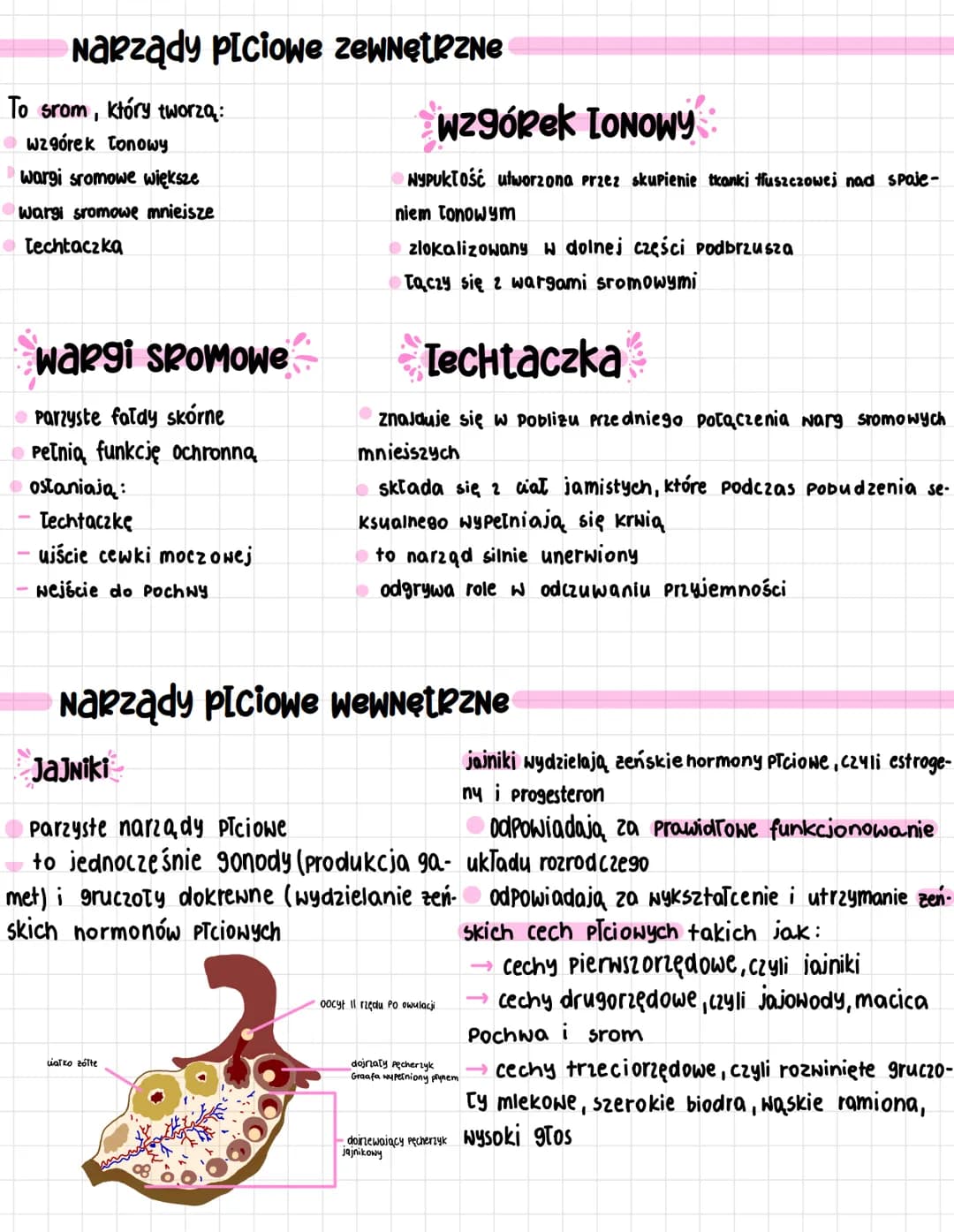*układ
rozrodczy* gamety- komórki Płciowe, które dzięki połączeniu się [męska + zeńska] Prowadzą, do raptodnienia i
Powstania nowego organiz