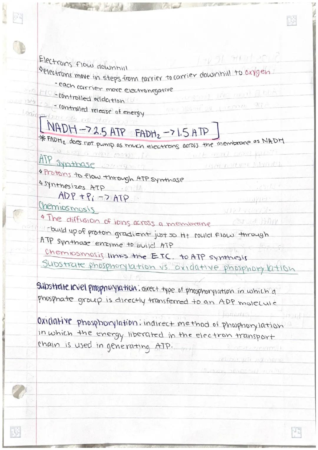 
<p>Cellular respiration is the process of catabolism of glucose that produces ATP. The general equation for this process is the combination