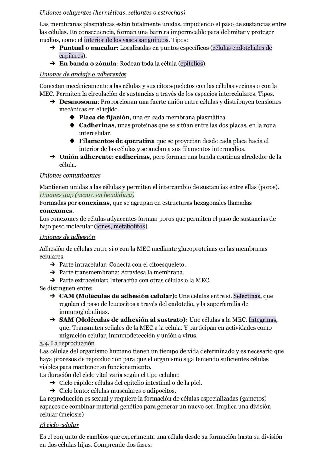 # O.I RESUMEN TEMAS I AL 5

# LA ORGANIZACIÓN DEL CUERPO HUMANO

1. Organización del cuerpo humano
1.1. Niveles atómico, molecular, celular 