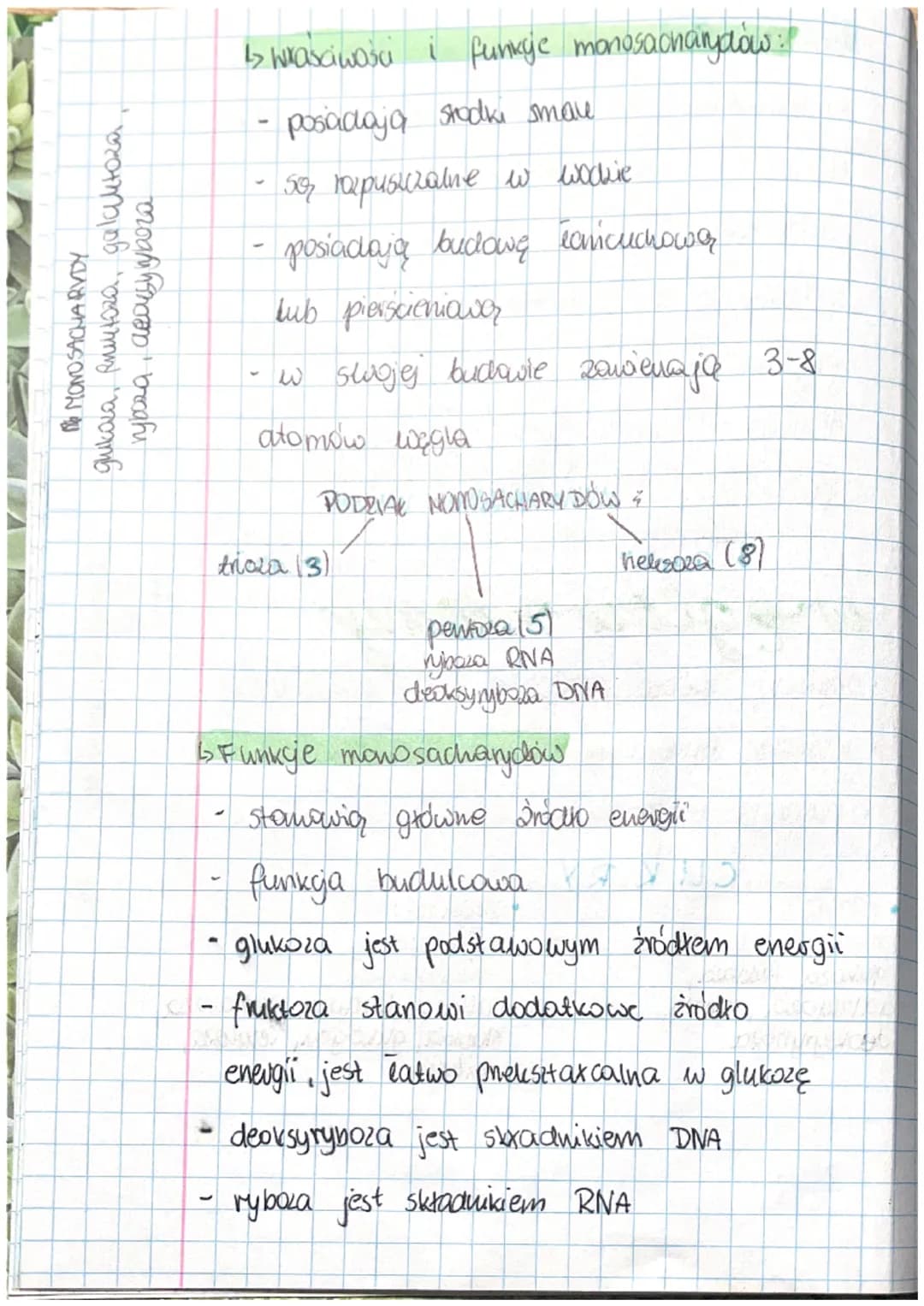 cukry /saharydy

węglowodany

• STANOWIĄ ZRÓDIKO ENERGII

• MATERIAK BUDULCOWY (FUNVIJA BUDULCOWA)

• FUNKUJA MAGAZYNUJĄCA

CUKRY

• PROSTE: