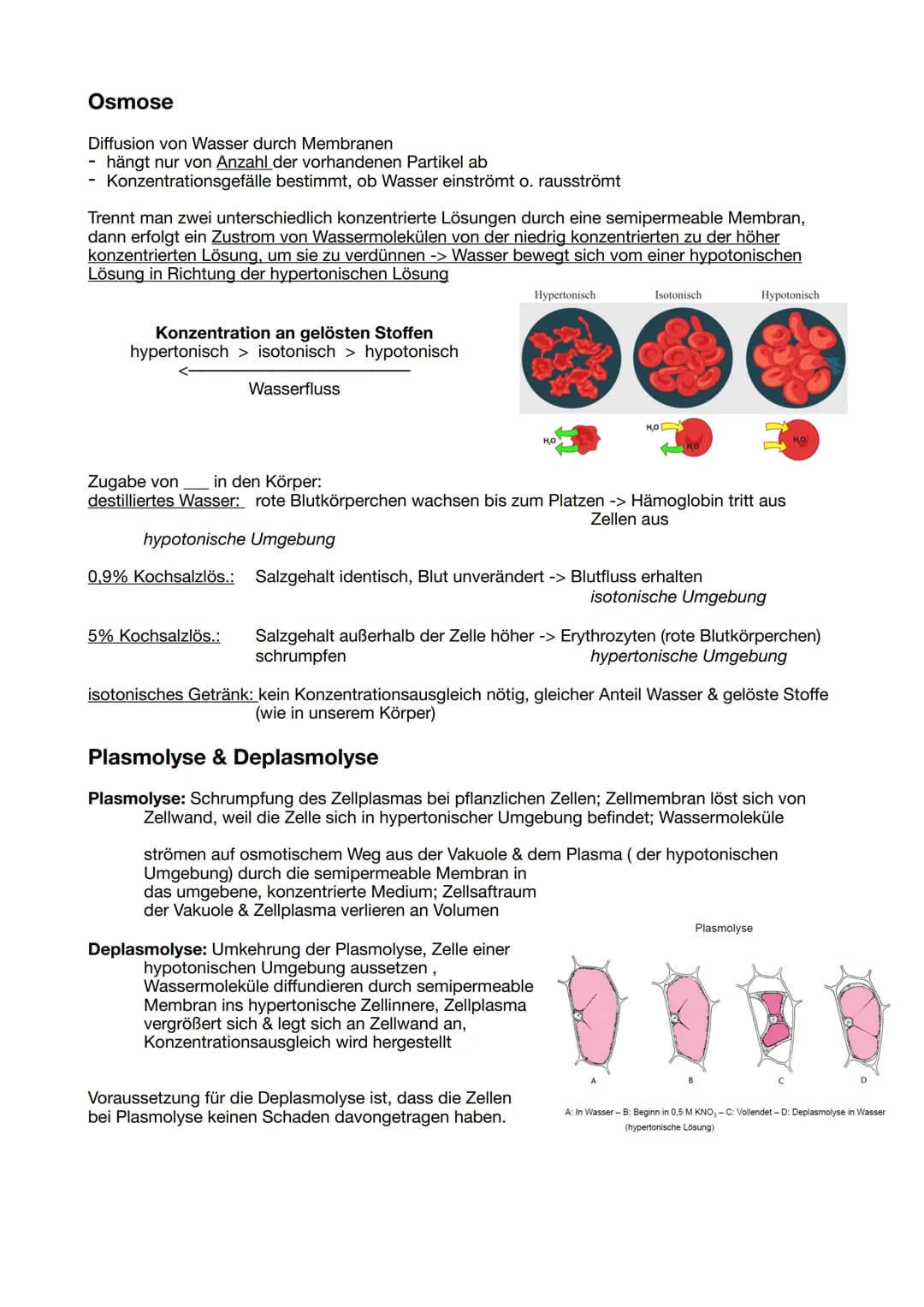 # 11/1 Biomembran

Funktion: Schutz, Transport,
Vermittler, Abgrenzung!

Flüssig-Mosaik-Modell
- Membran besteht aus
zähflüssiger
Lipiddoppe