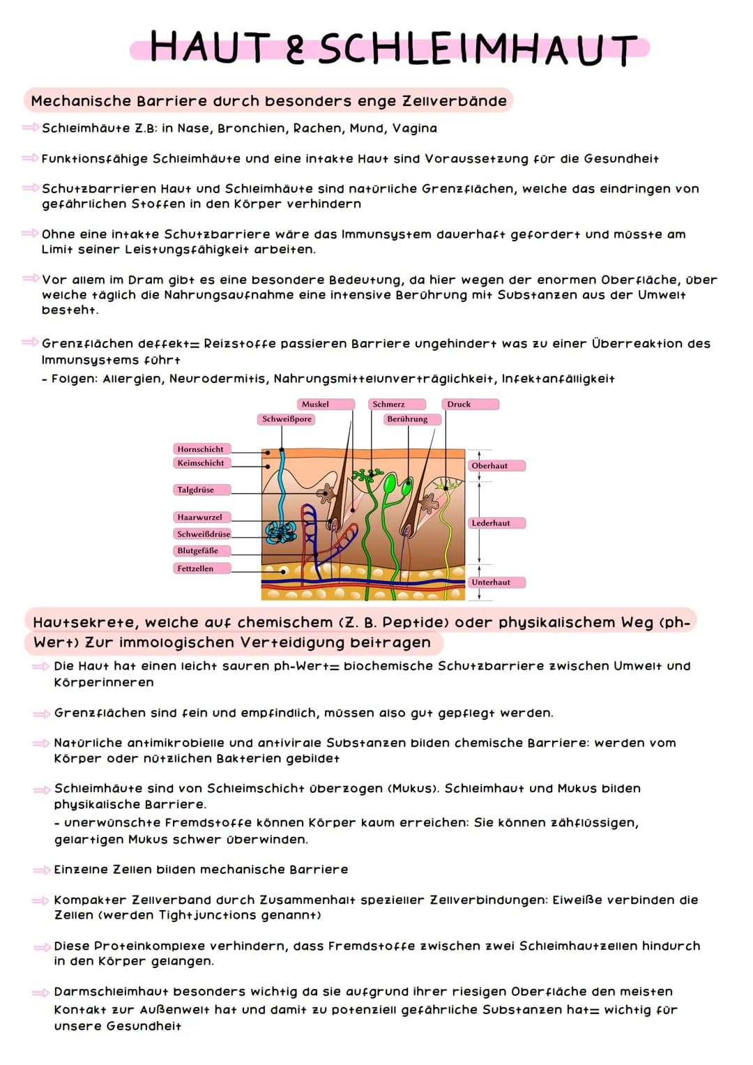 # IMMUNSYSTEM

Das Immunsystem ist lebenswichtig: Es schützt den Körper vor Schadstoffen,
Krankheitserregern und krankmachenden Zellveränder