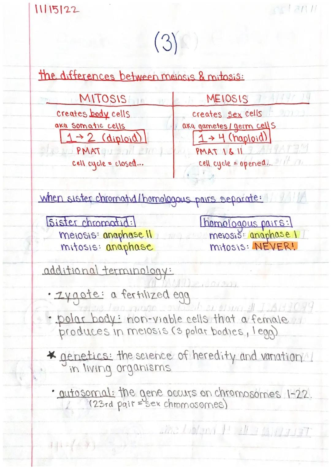 11/15/22

Genetics 1 Study Guide (1)

MITOSIS & MEIOSIS

names of each step: PMAT, PMATI, PMAT II
prophase, metaphase, an aphase, telephase

