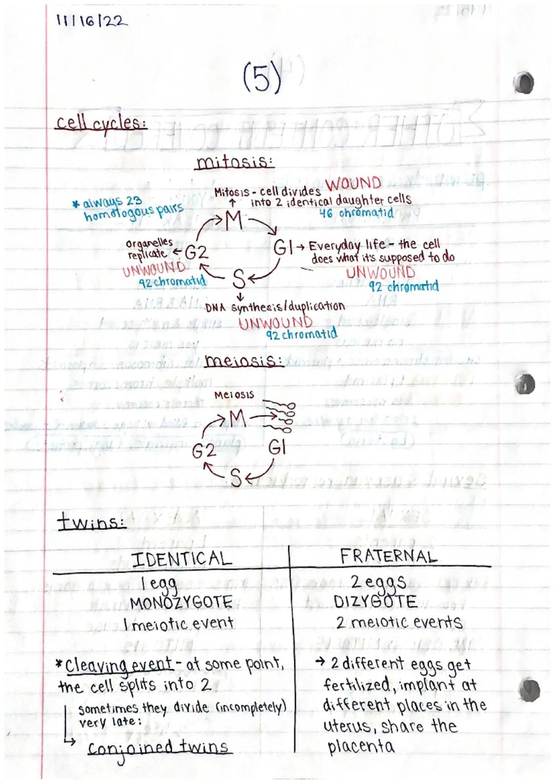 11/15/22

Genetics 1 Study Guide (1)

MITOSIS & MEIOSIS

names of each step: PMAT, PMATI, PMAT II
prophase, metaphase, an aphase, telephase
