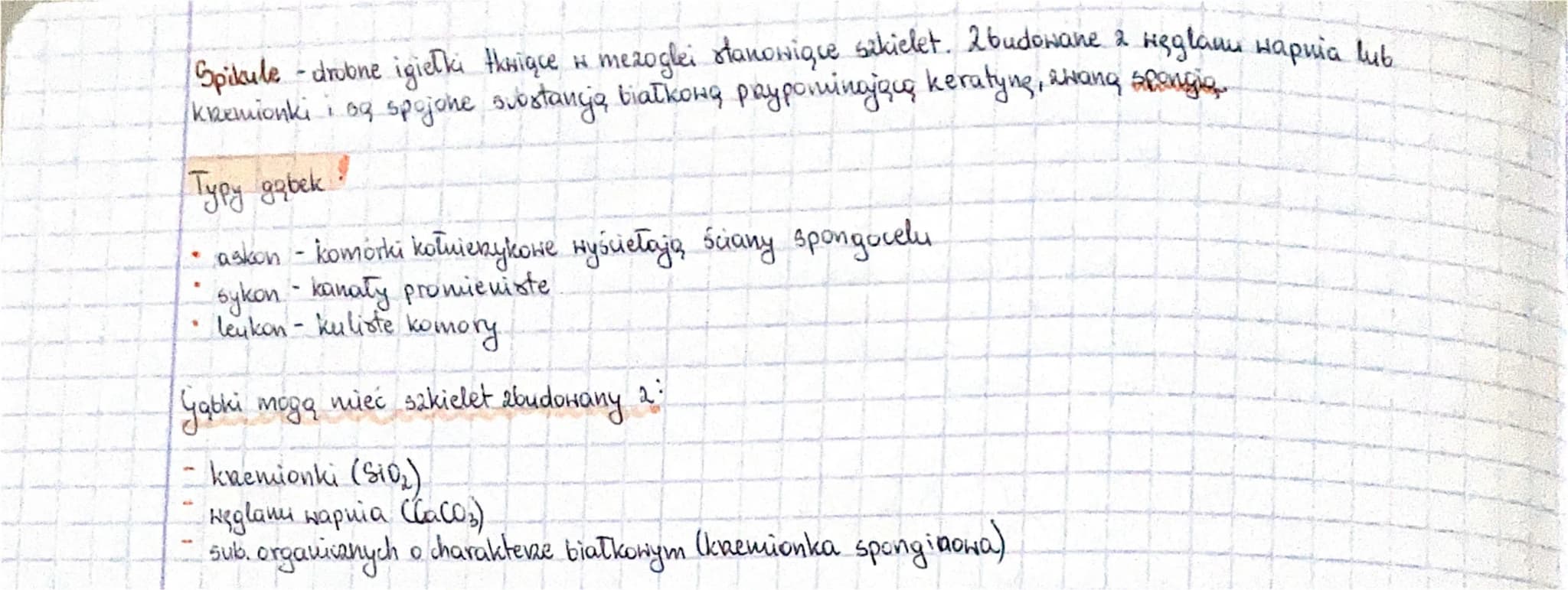 # GADKI

Cechy charakterystycane
noteze do filtratorón, rozma głównie terptione
*   najprostsze zwierała dwuwarstwowe, które w stadium doros