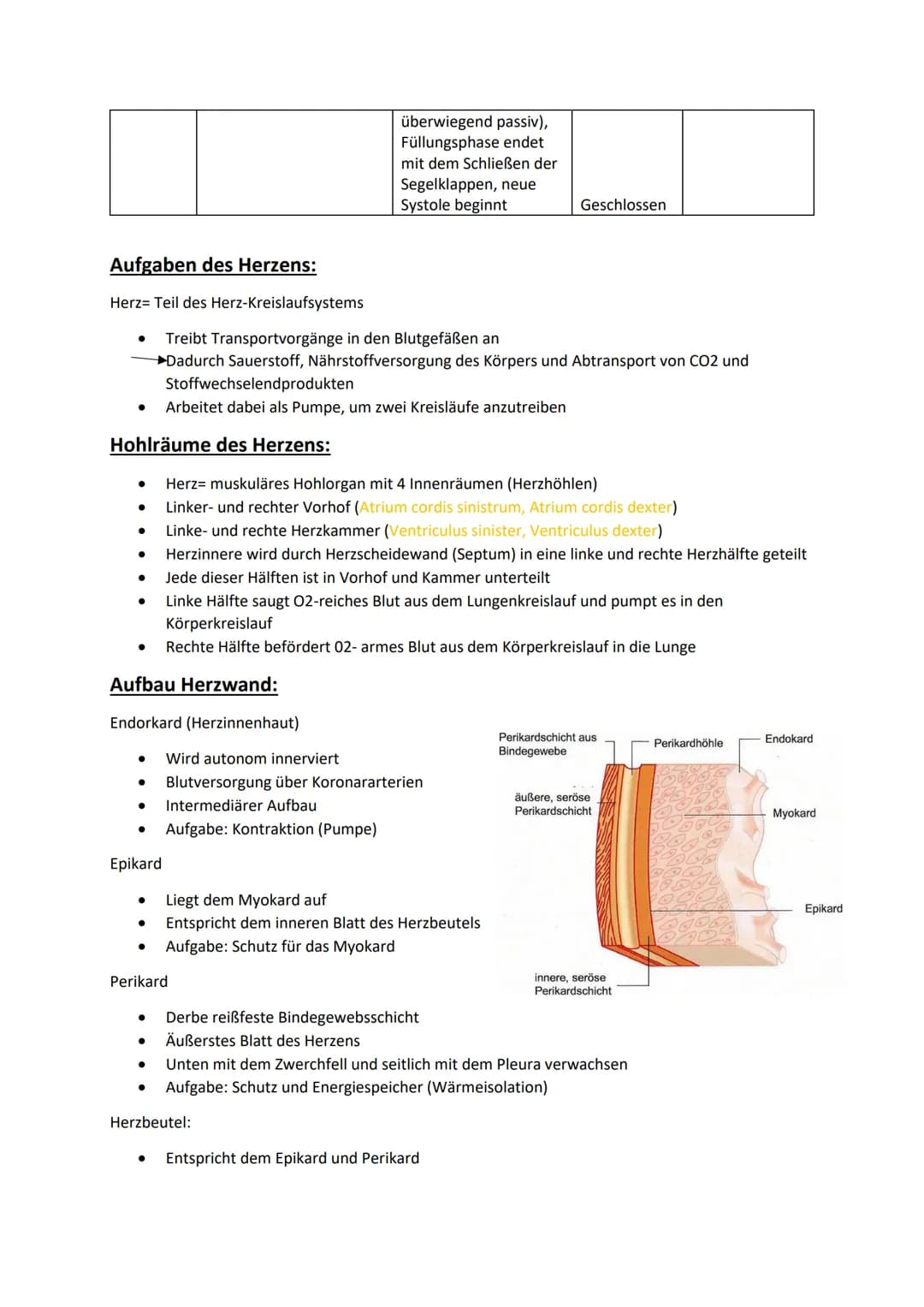# Klausurvorbereitung Herz-Kreislaufsystem

Aufbau des Herzens:

obere Hohlvene
Vena Cava superior

Lungenvene
Venae pulmonales
rechter Vorh