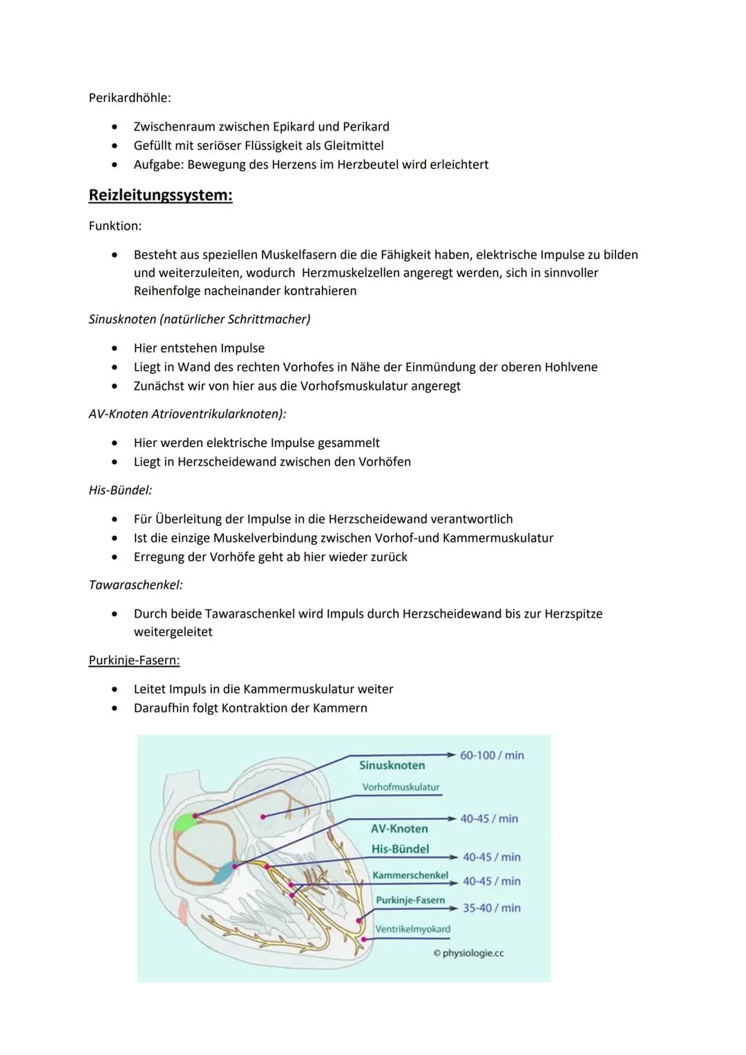 # Klausurvorbereitung Herz-Kreislaufsystem

Aufbau des Herzens:

obere Hohlvene
Vena Cava superior

Lungenvene
Venae pulmonales
rechter Vorh