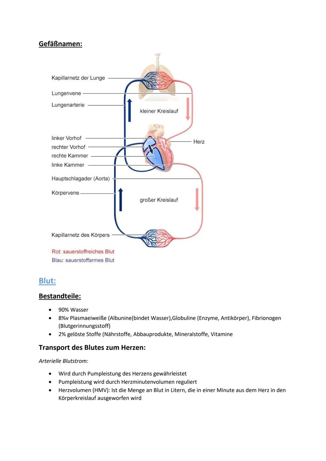 # Klausurvorbereitung Herz-Kreislaufsystem

Aufbau des Herzens:

obere Hohlvene
Vena Cava superior

Lungenvene
Venae pulmonales
rechter Vorh