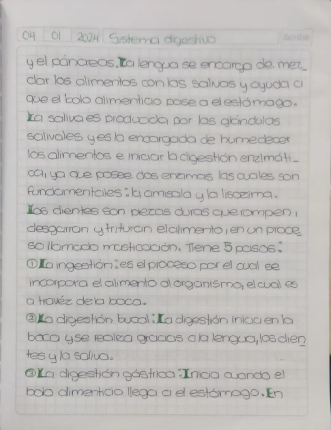 04 01 20255 Sistema digestivo.
Scribe
# Gistema
# Higestivo
Todas las etapas de la nutrición humana
son realizadas por el sistema digestivo,