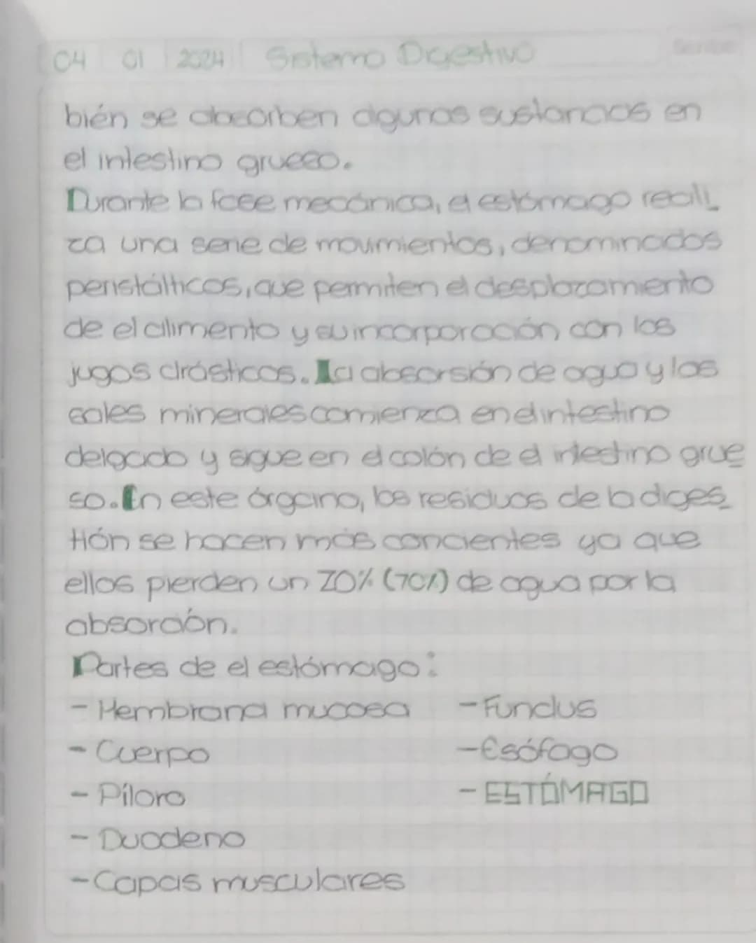 04 01 20255 Sistema digestivo.
Scribe
# Gistema
# Higestivo
Todas las etapas de la nutrición humana
son realizadas por el sistema digestivo,