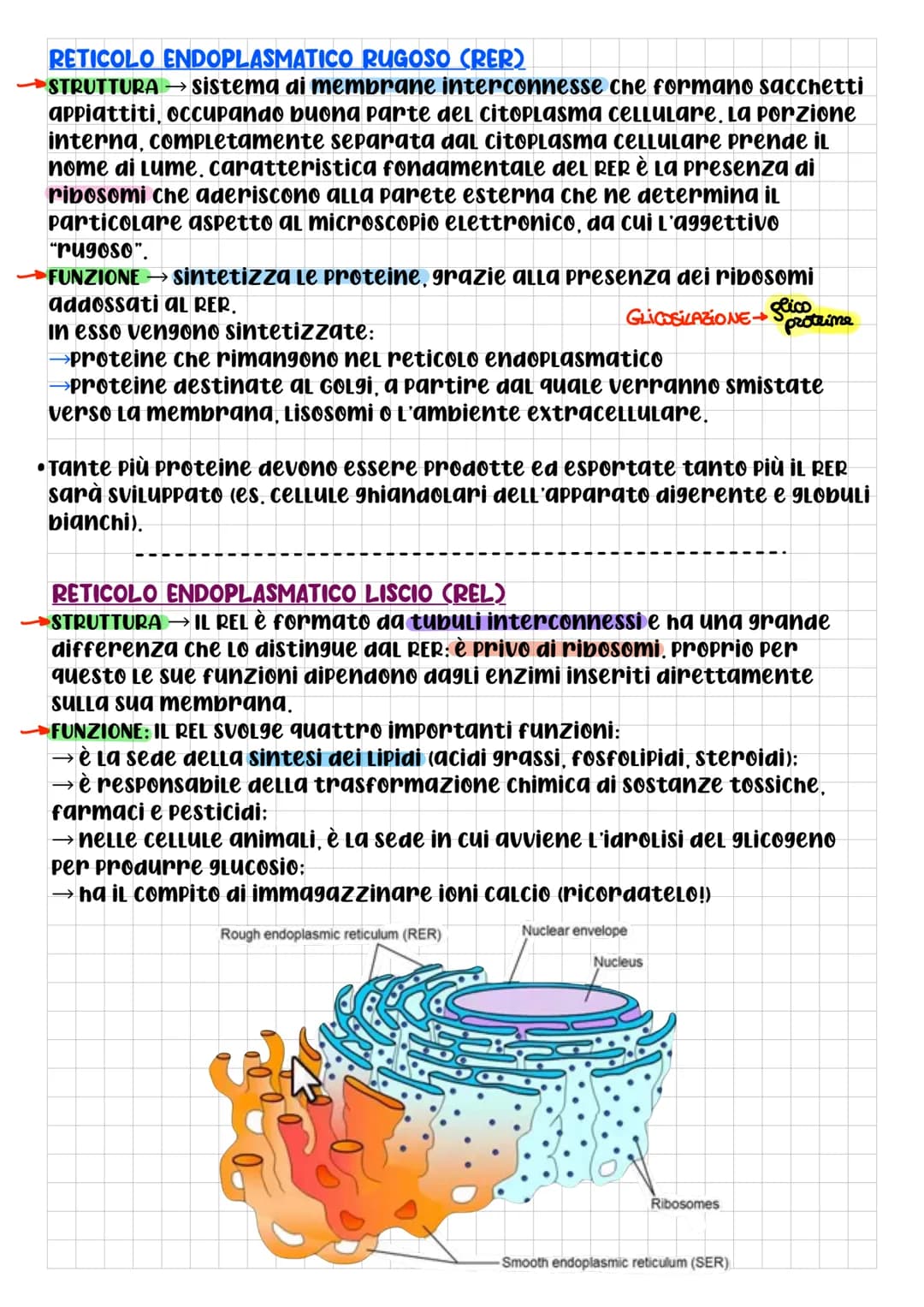 # BIOLOGIA CELLULARE

• che cos'è la CELLULA? DOPO L'UTILIZZO
di questo termine da parte di
Robert Hooke, per La prima volta
nel 1665, 9Lİ S