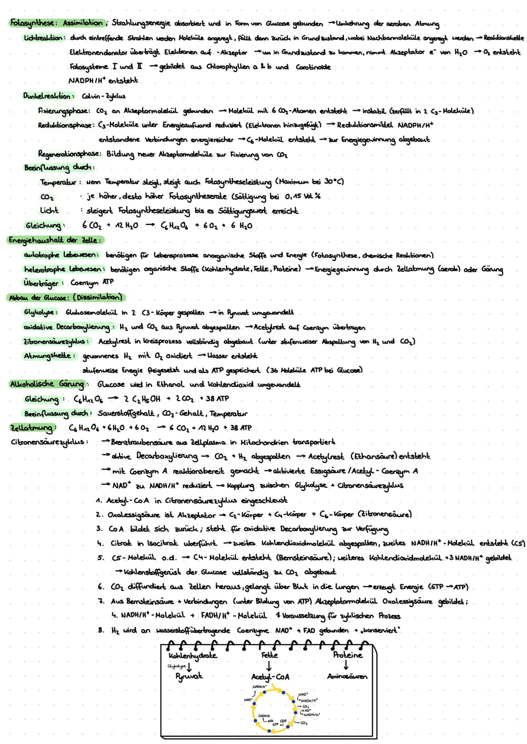 # LERNZETTEL BIOLOGIE

Zytologie

Eukaryoten

-Zellwanal

-Zellmembran

Cytosol-

Mitochondrium.

Chloroplasten

Golgi-Apparat

glades ER

r