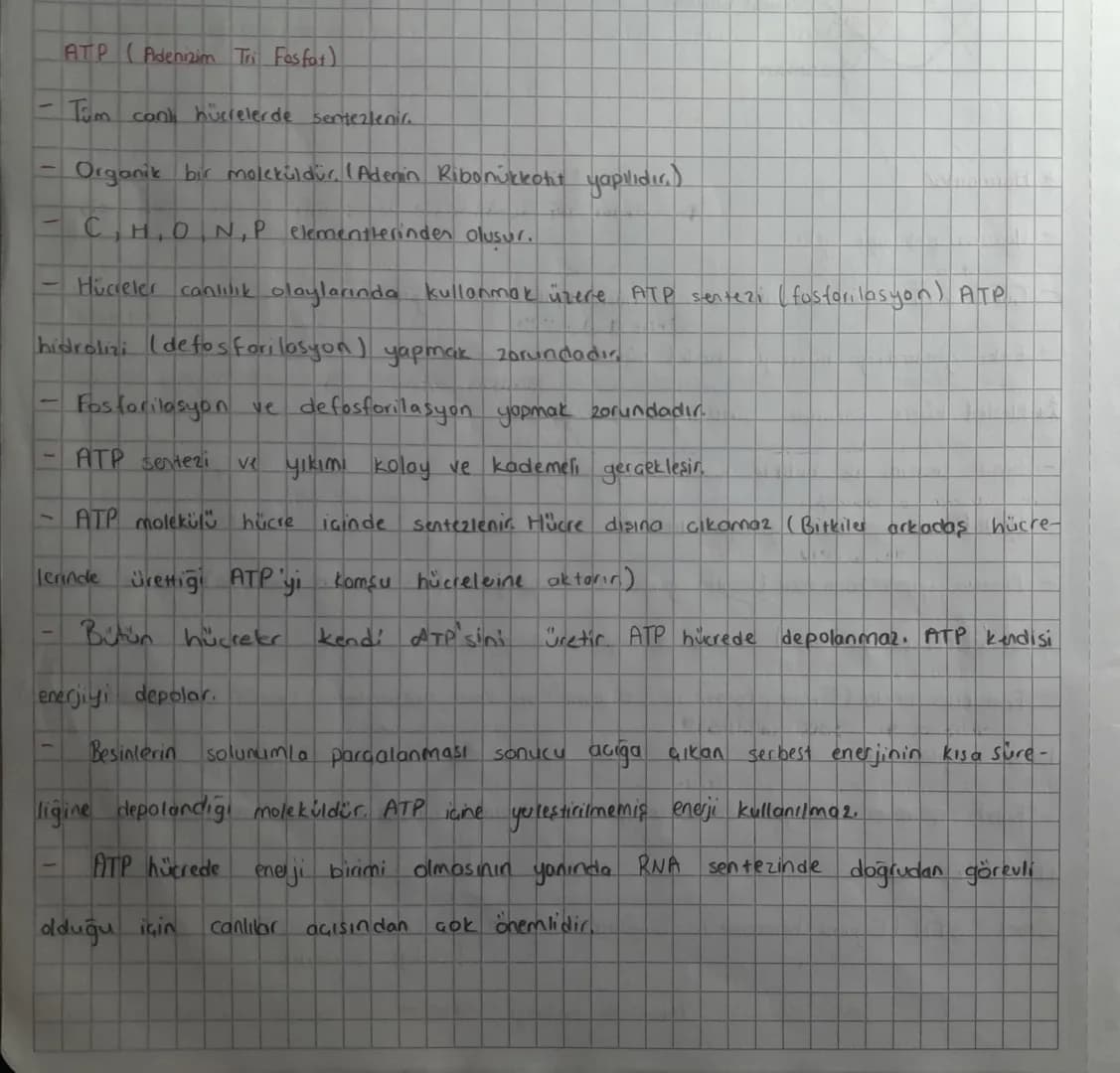 ATP (Adenizim Tri Fosfot)

- Tum canı hücrelerde sentezlenir.

- Organik bir mokküldür. (Adenin Ribonükleotit yapılıdır.)

- C,H,O,N,P eleme