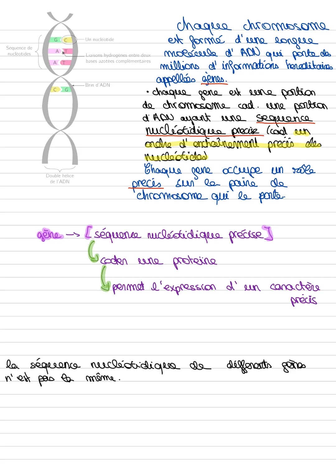# l'organisme

les systèmes

les organes

les tessees

les cellules

les organites

-s organisme

pluricellulaère.

->la paraie cellulosique