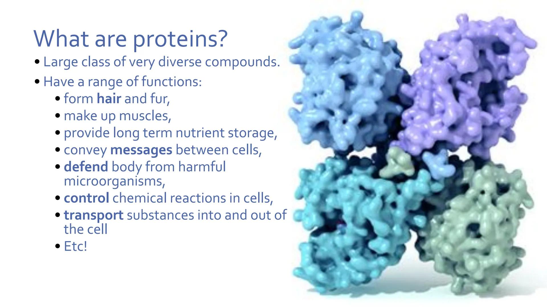 # Proteins

Unit 1.7-1.10 What are proteins?

• Large class of very diverse compounds.
• Have a range of functions:
• form hair and fur,
• m