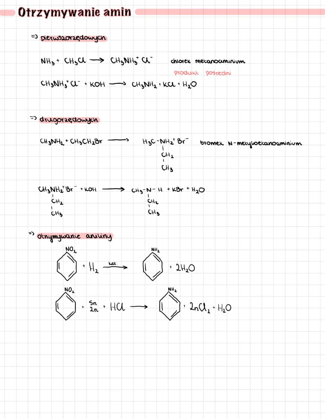 
<h2>Amines: Definition and Classification</h2>
<p>Amines are derivatives of ammonia in which one, two, or three hydrogen atoms are replaced