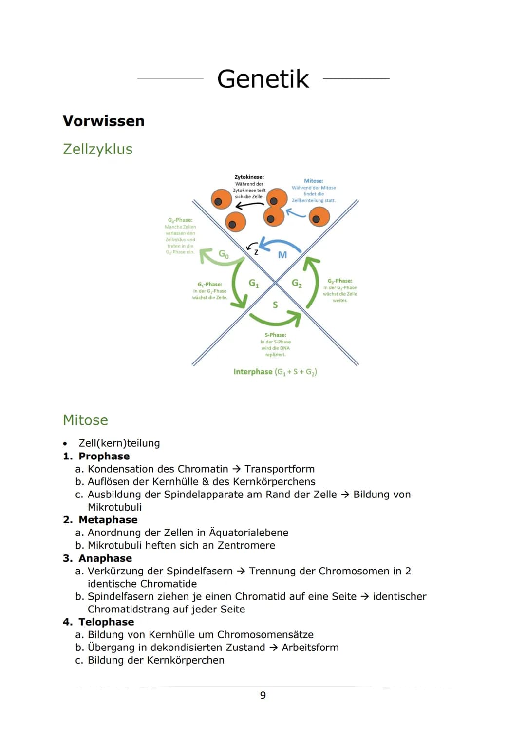 # Biologie

LK Abiturlernzettel 2022
von Sarah Gerber Inhaltsverzeichnis

Genetik

Vorwissen
9
Zellzyklus 9
Mitose 9
Meiose. 10
Enzyme 10
Au