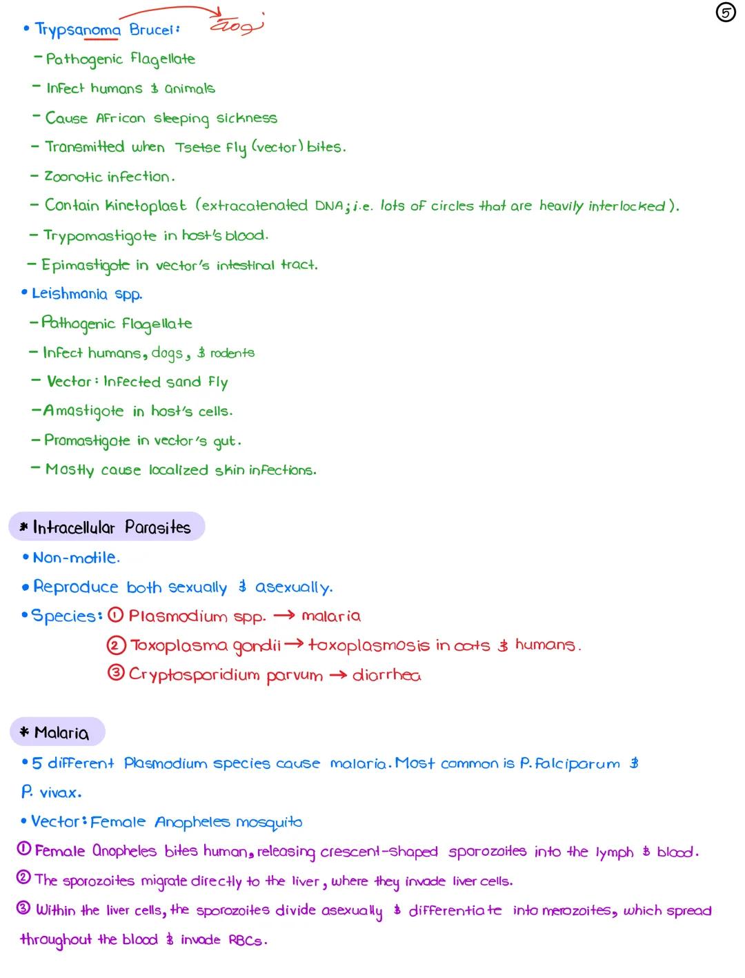 L24-Parasites
April 4, 2022
* Parasitology: study of relationship between a parasite & its host
*3 Types of Parasites (in terms of location)