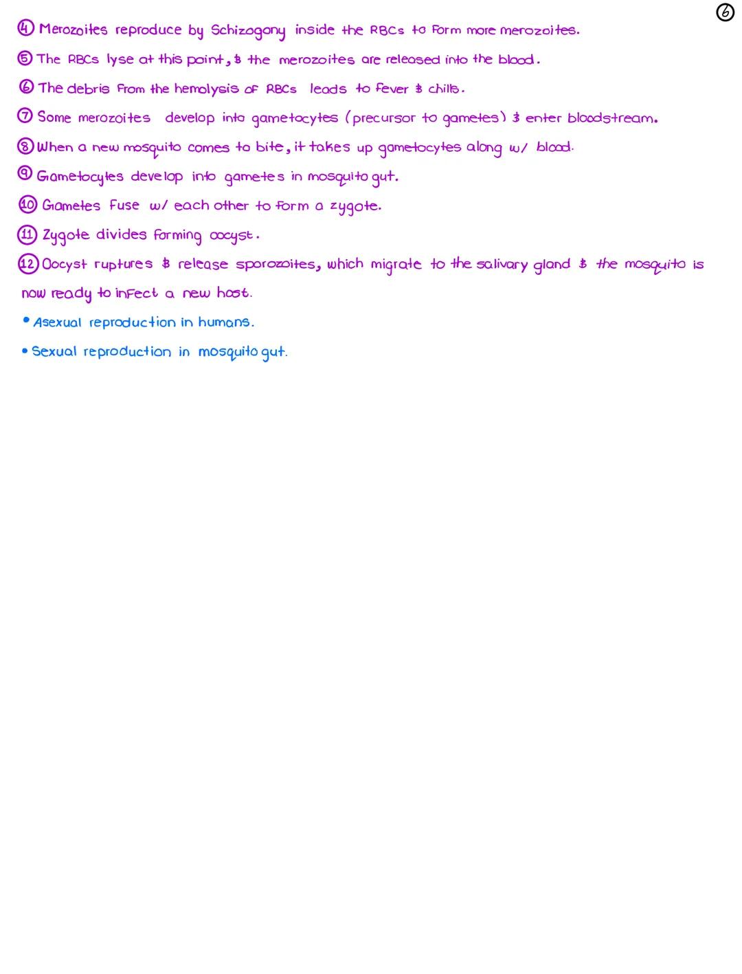 L24-Parasites
April 4, 2022
* Parasitology: study of relationship between a parasite & its host
*3 Types of Parasites (in terms of location)
