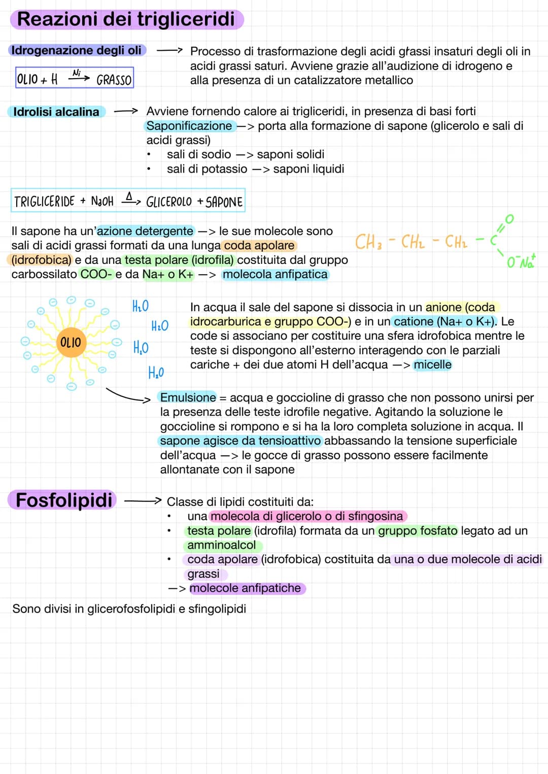# Lipidi
Classe di composti eterogenei con diversa struttura e proprietà
Sono tutti insolubili in acqua ma solubili in solventi organici apo