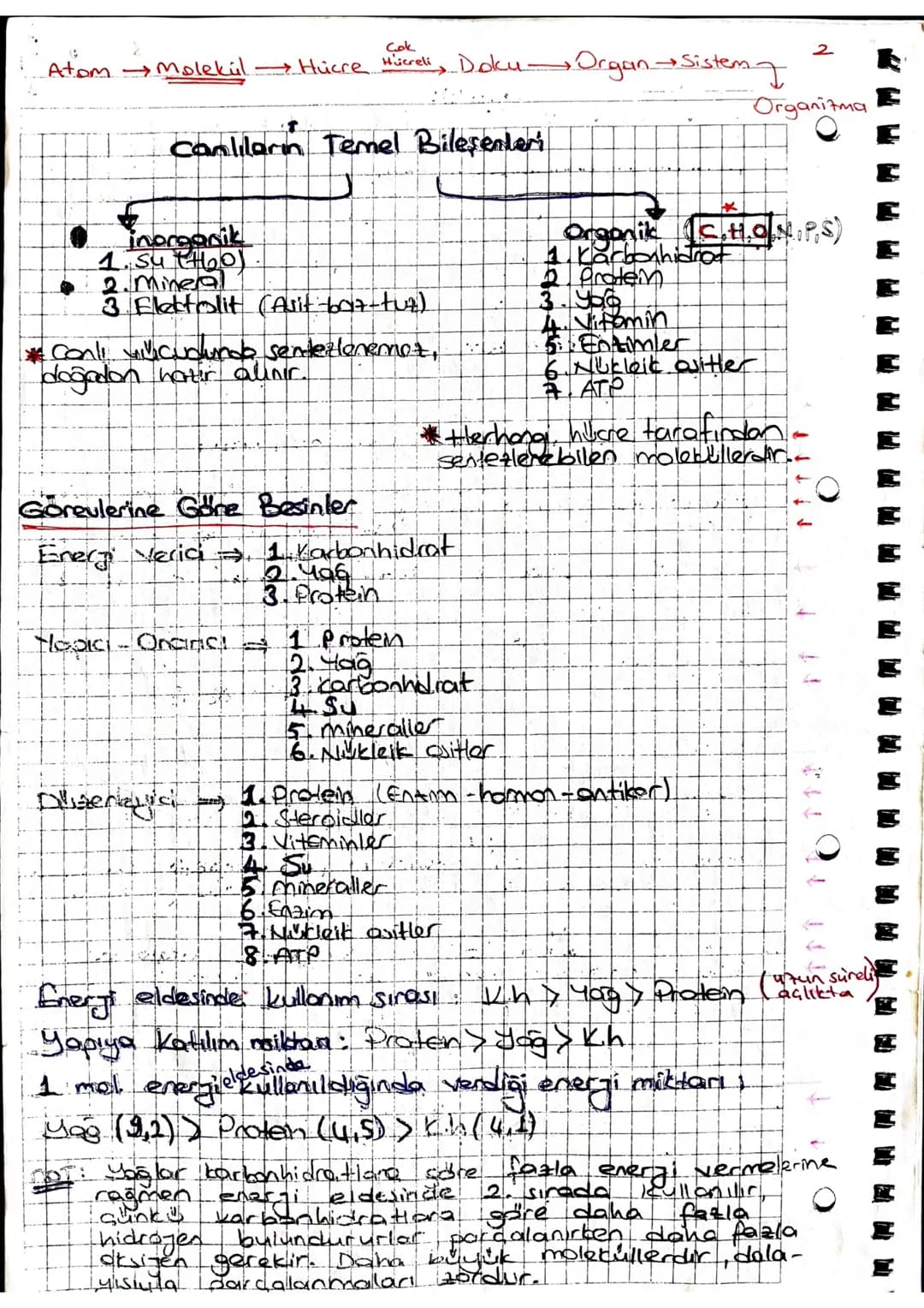 Cok
Atom Molekul Hücre Hücreli, Doku Organ Sistem

Canlıların Temel Bileşenteri


inorganik
1. Sutt601
• 2. mineral
3 Flektrolit (Asit-607-t