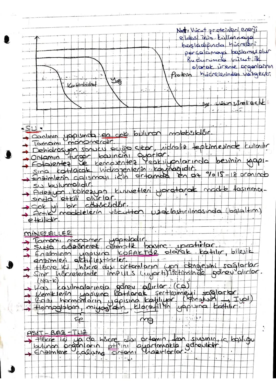 Cok
Atom Molekul Hücre Hücreli, Doku Organ Sistem

Canlıların Temel Bileşenteri


inorganik
1. Sutt601
• 2. mineral
3 Flektrolit (Asit-607-t