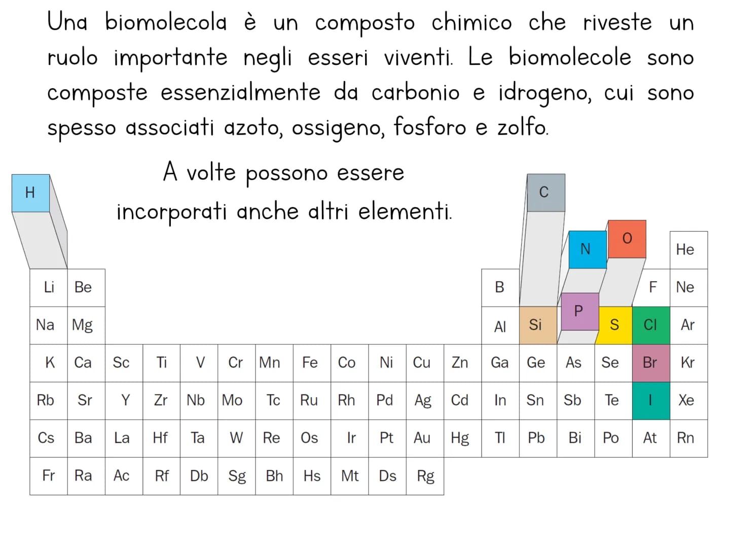 # Le biomolecole

Carbohydrate

Lipid

Protein

Nucleic Acid

@amoebasisters Una biomolecola è un composto chimico che riveste un
ruolo impo