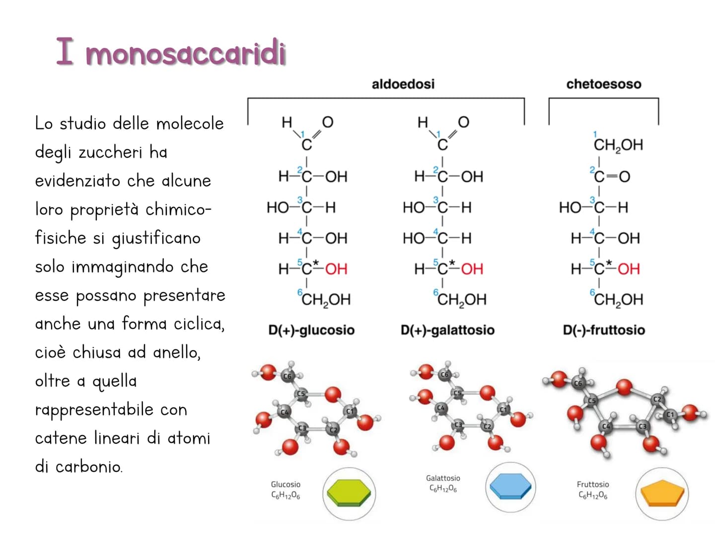# Le biomolecole

Carbohydrate

Lipid

Protein

Nucleic Acid

@amoebasisters Una biomolecola è un composto chimico che riveste un
ruolo impo